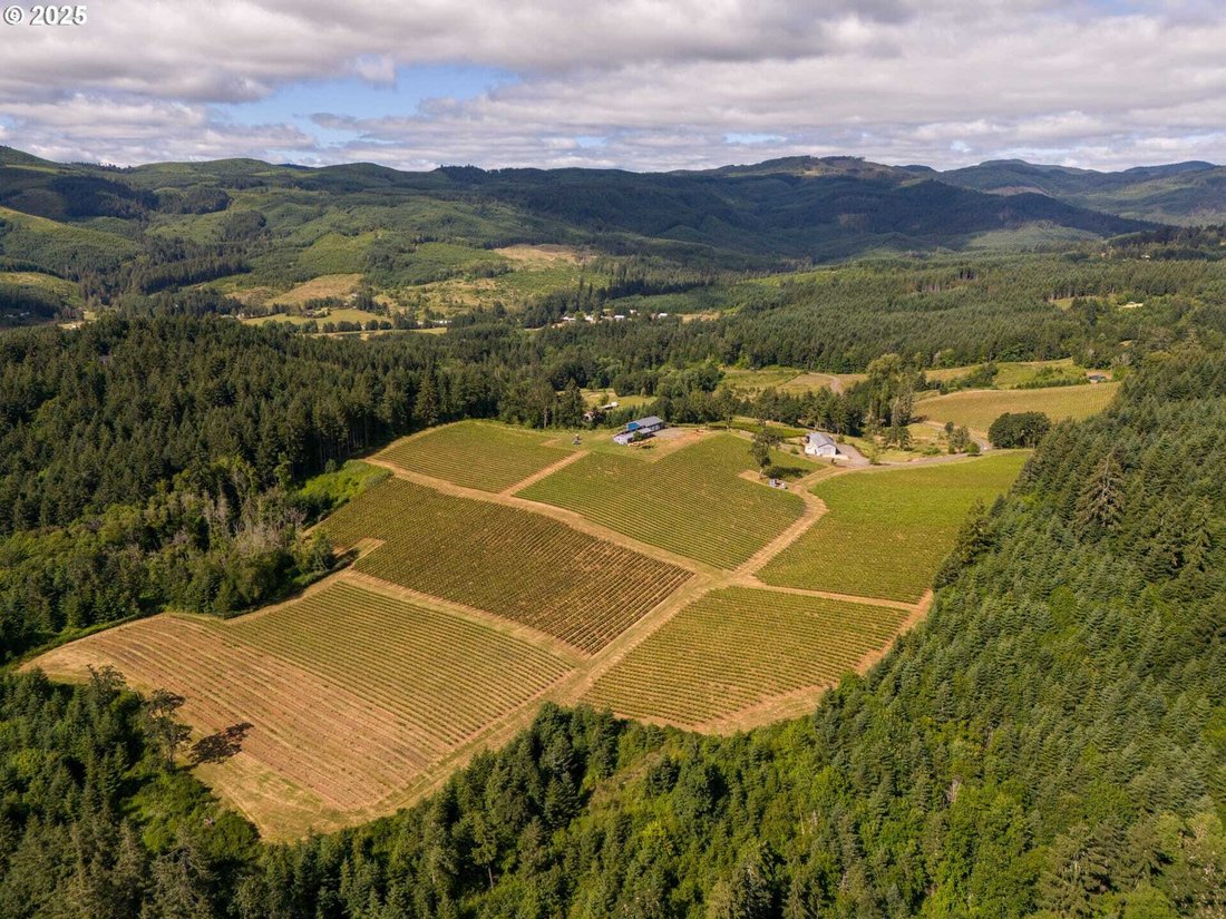 House in Carlton, Oregon, United States 5 - 15579558