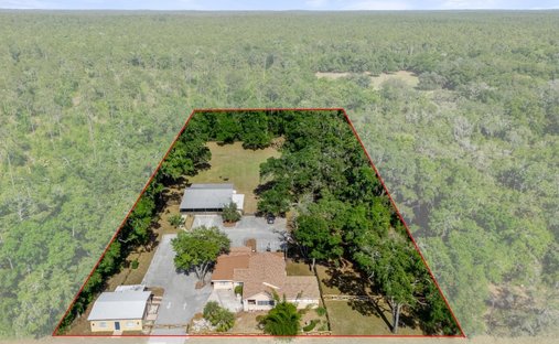 Lecanto, Florida, Estados Unidos 1