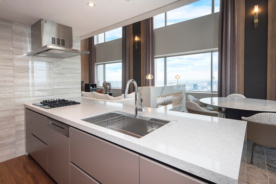 Condo in Minato City, Tokyo, Japan 3 - 15494925