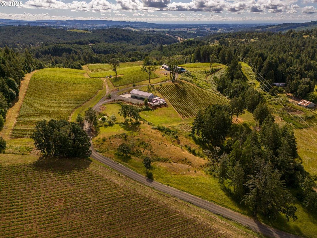 House in Carlton, Oregon, United States 1 - 15579558