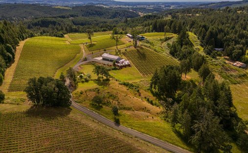 House in Carlton, Oregon, United States 1