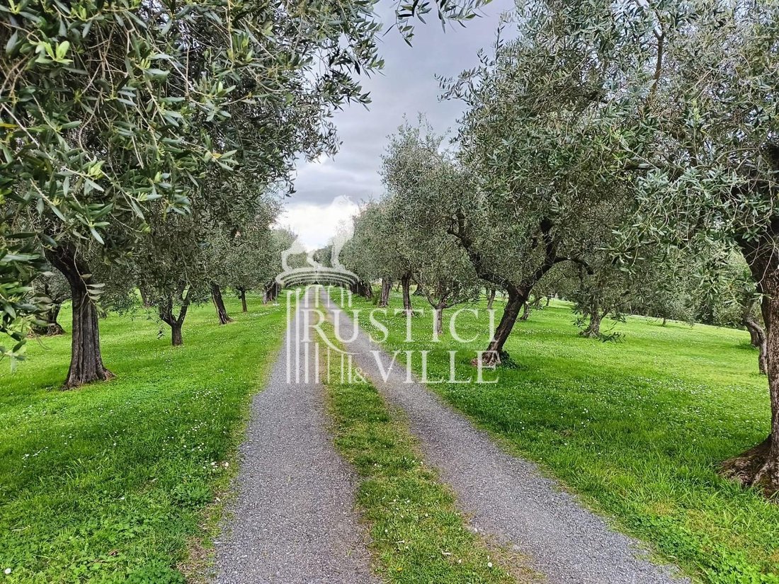 Villa in Fauglia, Tuscany, Italy 4 - 15565279
