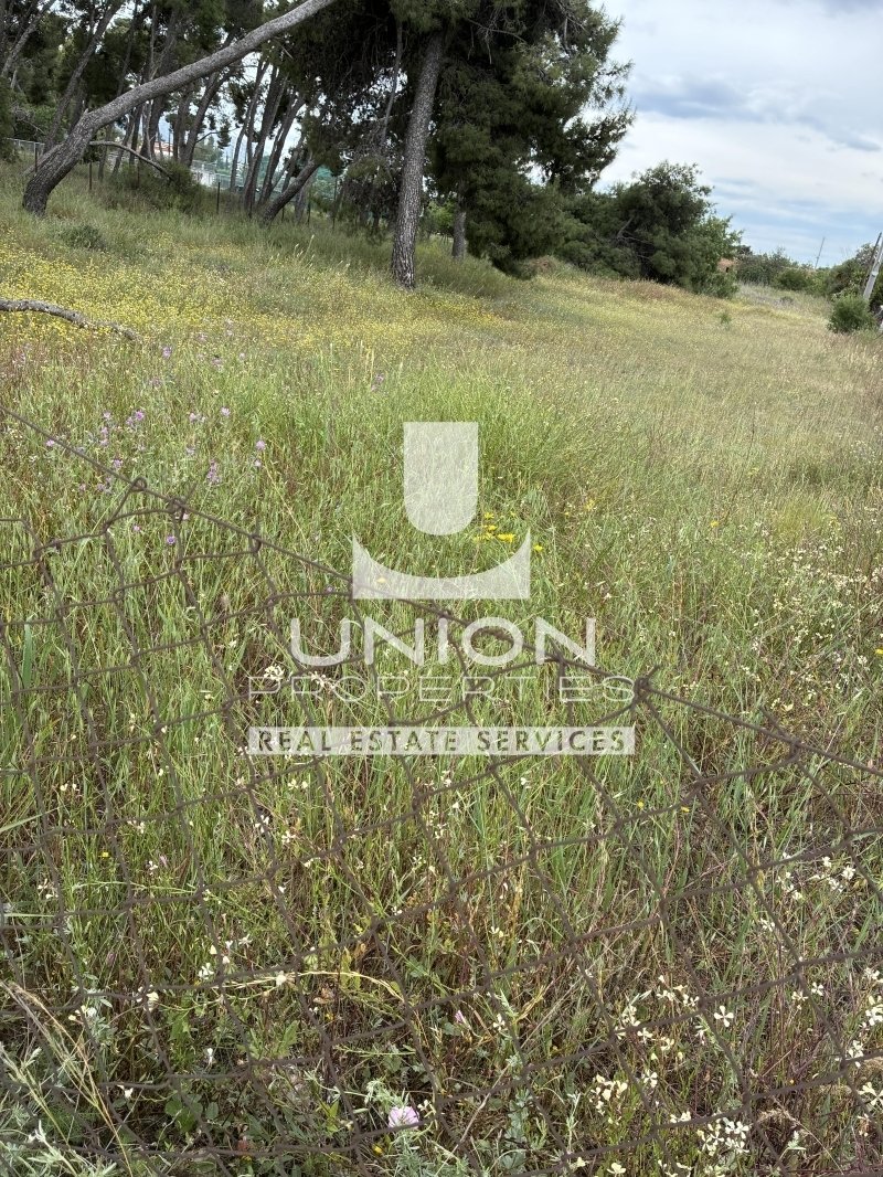 Land in North Athens, Attica, Greece 2 - 15563943