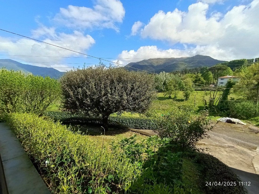 Villa in Camaiore, Tuscany, Italy 5 - 15569072