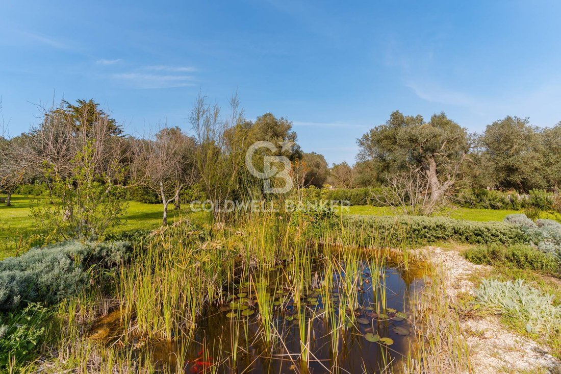Villa en Apulia, Italia 4 - 15565636