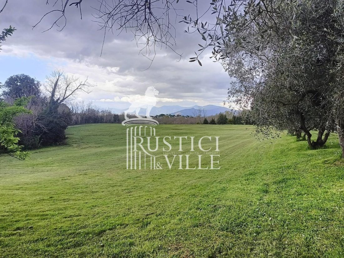 Villa in Fauglia, Tuscany, Italy 3 - 15565279