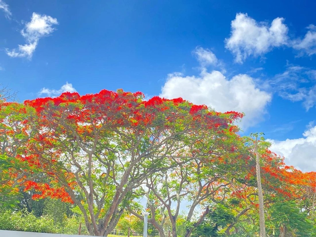 Apartment in Trou-aux-Biches, Pamplemousses District, Mauritius 2 - 15228304