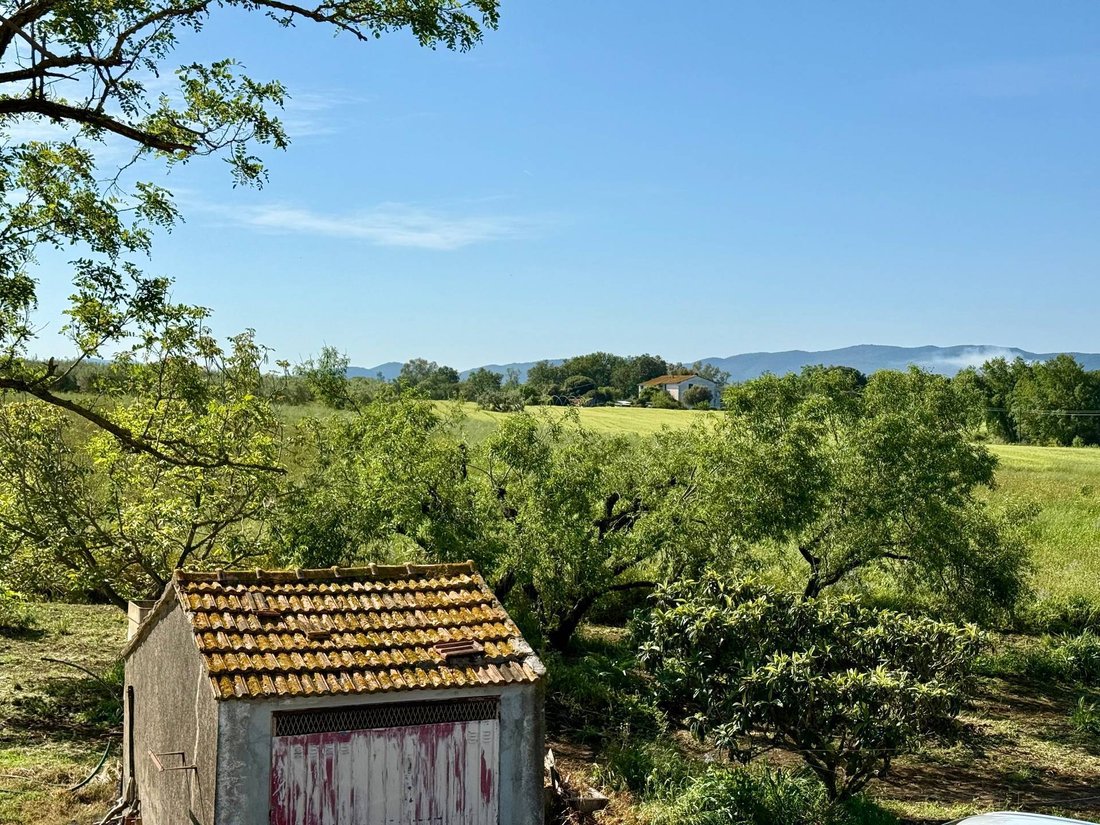 Country House in Magliano in Toscana, Tuscany, Italy 5 - 15579812