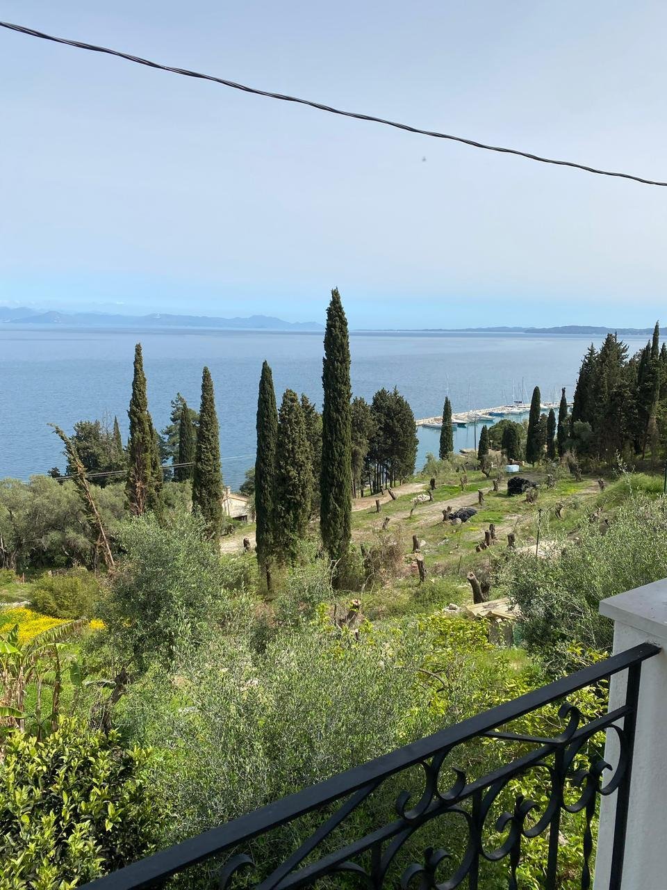 Land in Corfu, Peloponnese, Western Greece and the Ionian, Greece 1 - 15573039