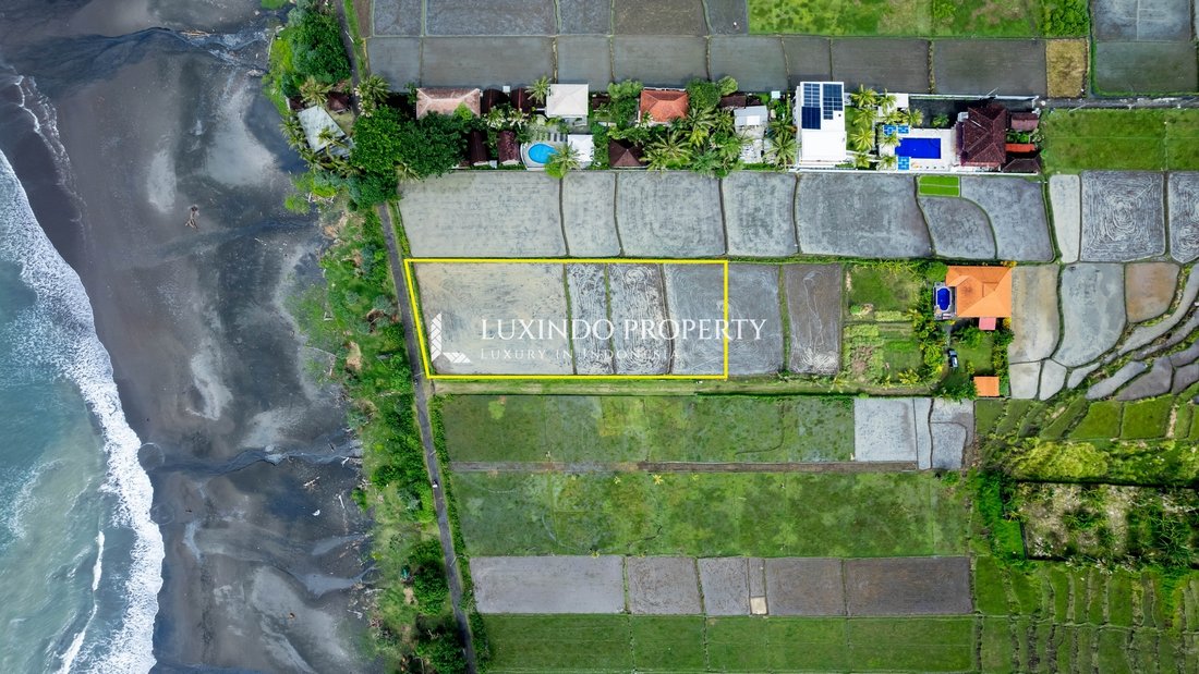 Land in Mendoyo, Bali, Indonesia 1 - 15571517