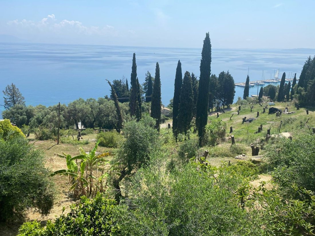 Land in Corfu, Peloponnese, Western Greece and the Ionian, Greece 5 - 15573039