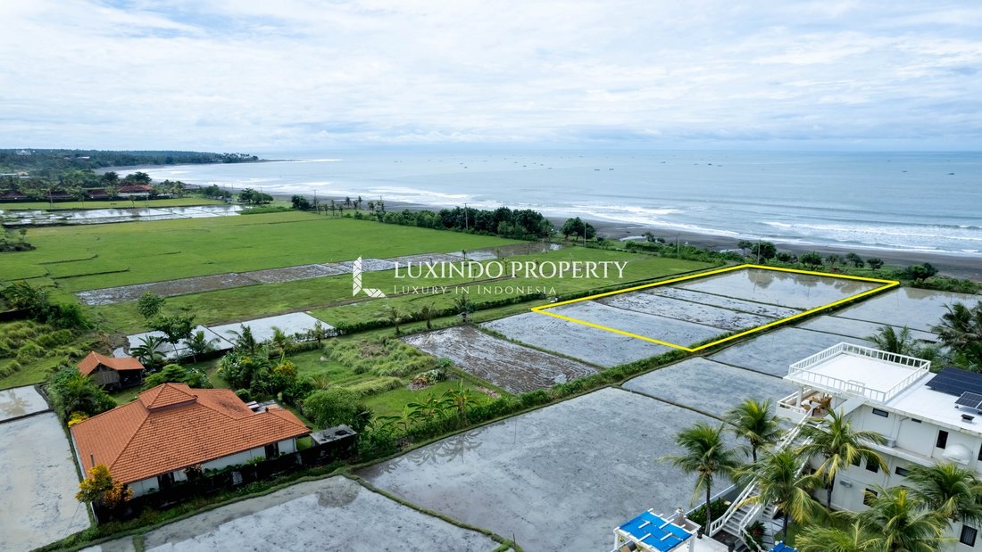 Land in Mendoyo, Bali, Indonesia 5 - 15571517