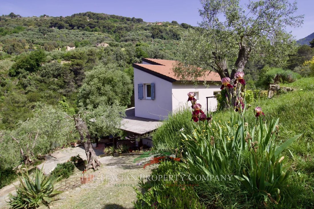 Villa in Vallebona, Liguria, Italy 4 - 15583839