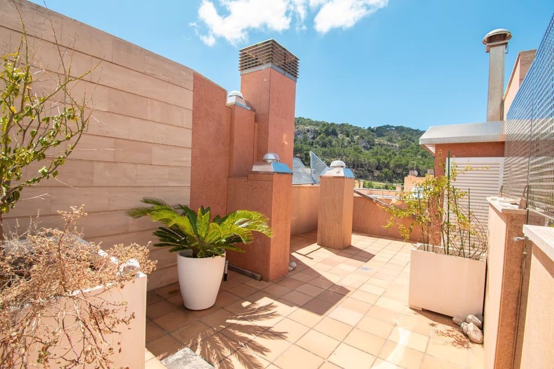 Apartment in Port d'Andratx, Andratx, Balearic Islands 1 - 13512537