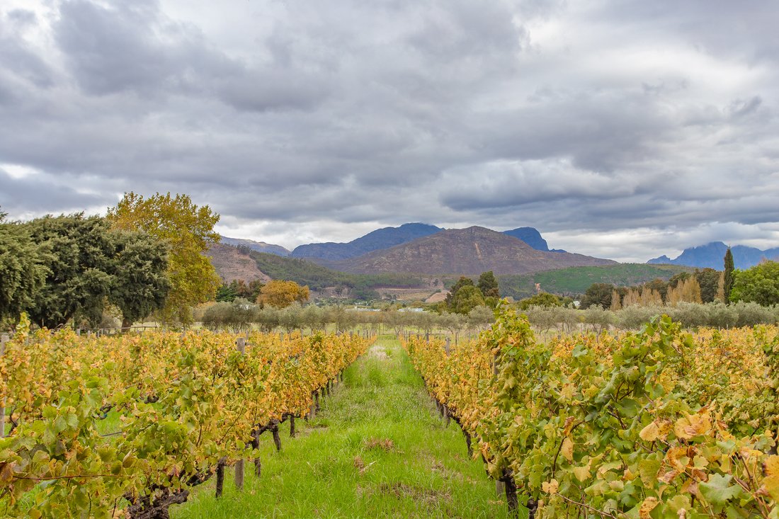 Farm Ranch in Franschhoek, Western Cape, South Africa 4 - 15584212