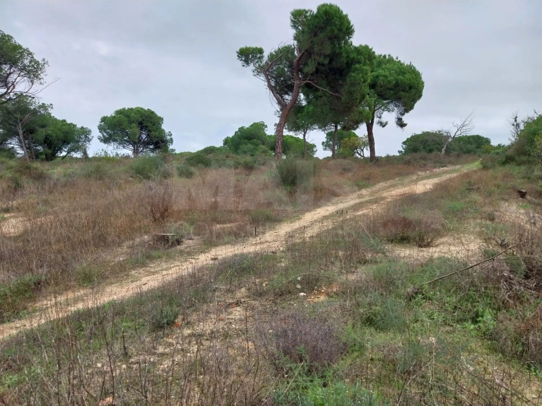 Land in Faro (Se e Sao Pedro), Algarve, Portugal 1 - 14971233