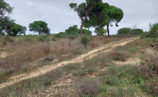 Terreno a Faro (Se e Sao Pedro), Algarve, Portogallo 1