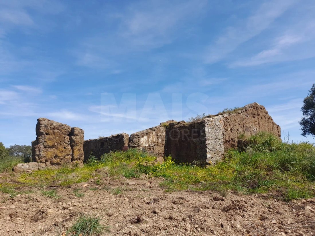 Land in Melides, Setubal, Portugal 1 - 14807546