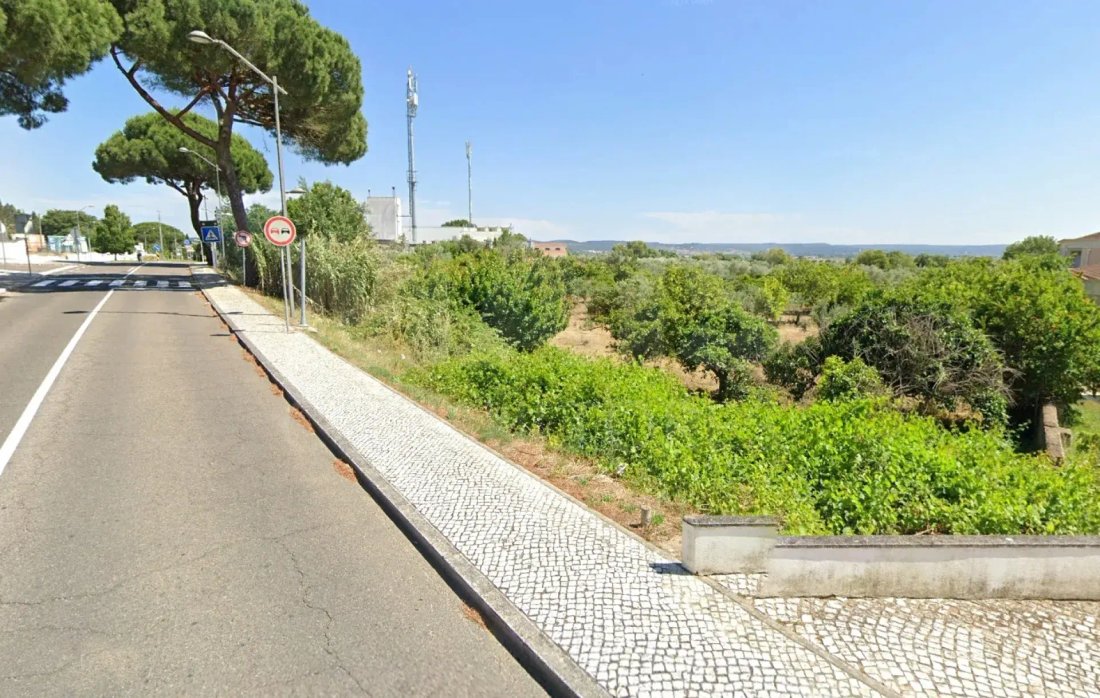 Land in Vila Nova da Barquinha, Santarem District, Portugal 2 - 14581314