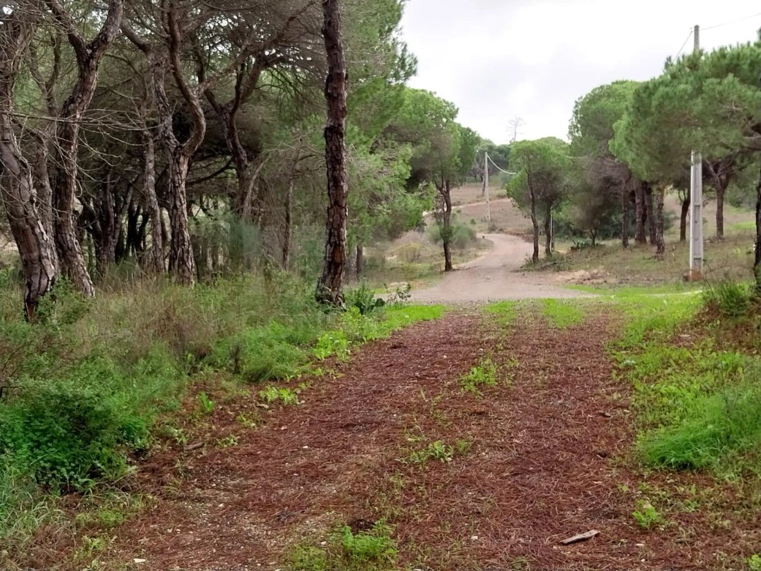 Land in Faro (Se e Sao Pedro), Algarve, Portugal 4 - 14971233