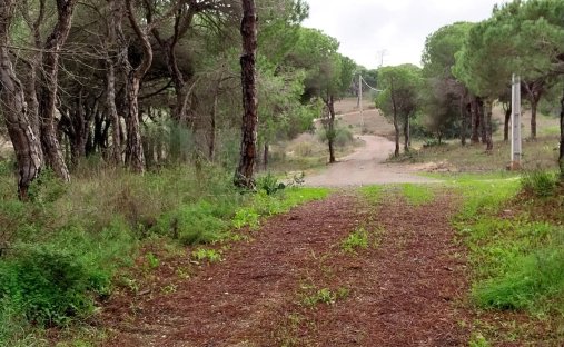 Terreno en Faro (Se y Sao Pedro), Algarve, Portugal 1