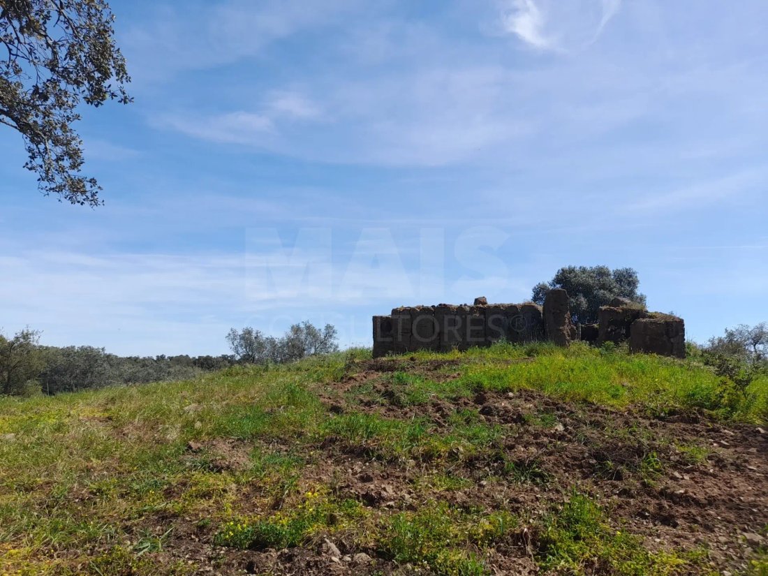 Land in Melides, Setubal, Portugal 5 - 14807546