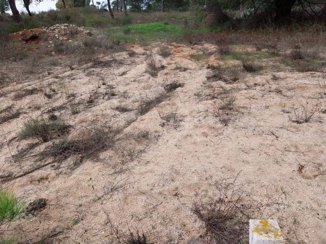 Land in Faro (Se e Sao Pedro), Algarve, Portugal 5 - 14971233