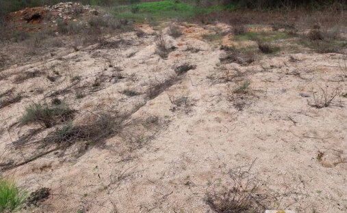 Terrain à Faro (Se et Sao Pedro), Algarve, Portugal 1