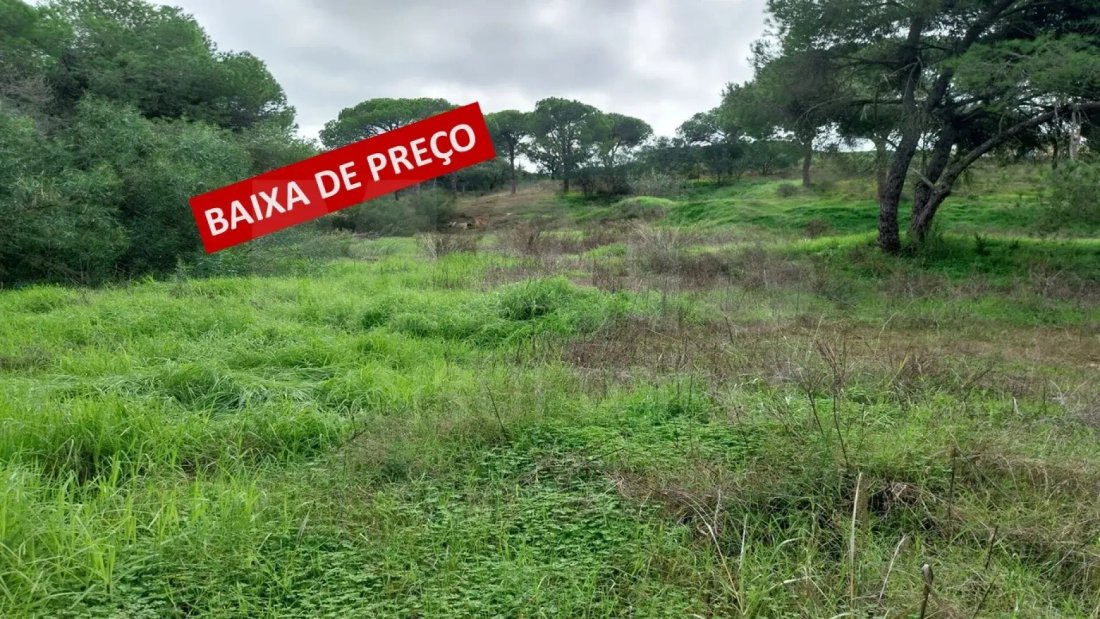 Land in Faro (Se e Sao Pedro), Algarve, Portugal 1 - 14971233