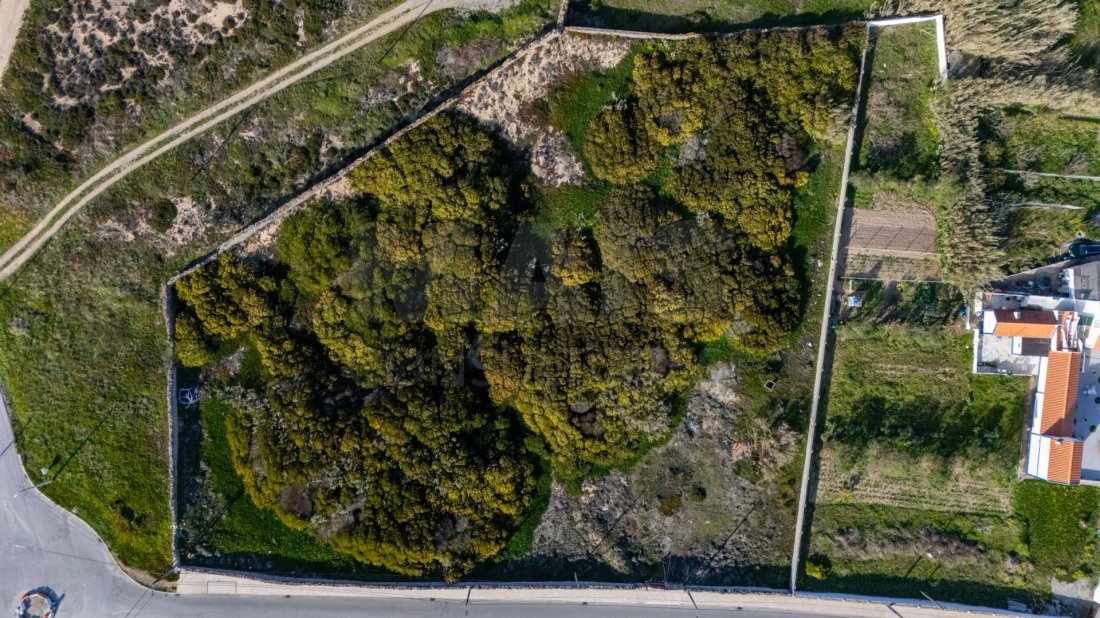 Land in Peniche, Leiria District, Portugal 5 - 15274211
