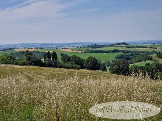 Farm Ranch in Carcassonne, Occitania, France 2 - 12788877
