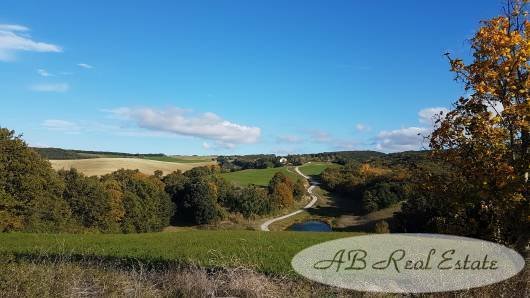 Farm Ranch in Carcassonne, Occitania, France 3 - 12788877