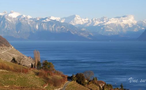 Land in Bourg-en-Lavaux, Vaud, Switzerland 1