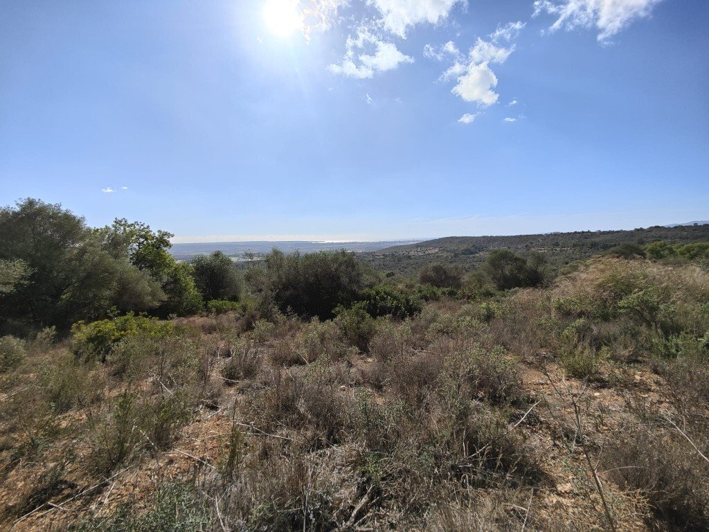 Terreno en Palma, Islas Baleares, España 4 - 15591413