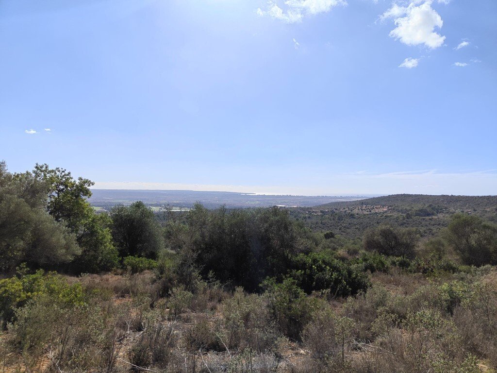 Terreno en Palma, Islas Baleares, España 2 - 15591413