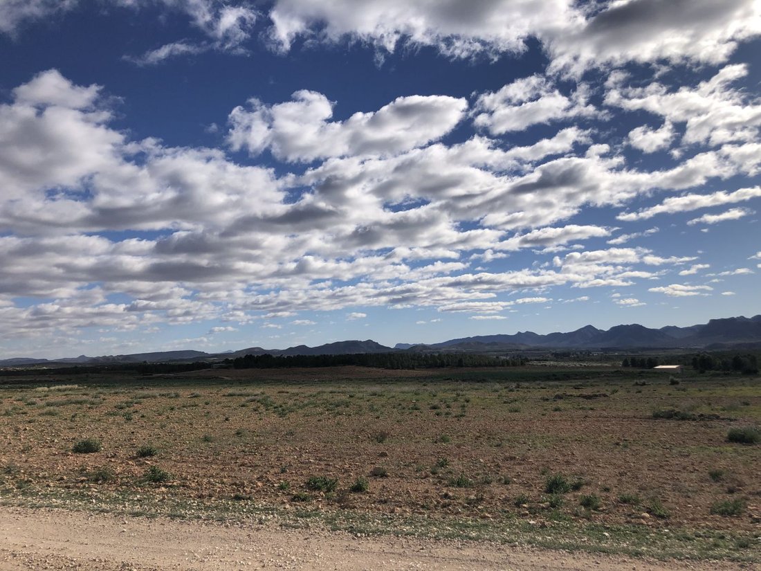 Land in Hellin, Castile-La Mancha, Spain 1 - 15593897