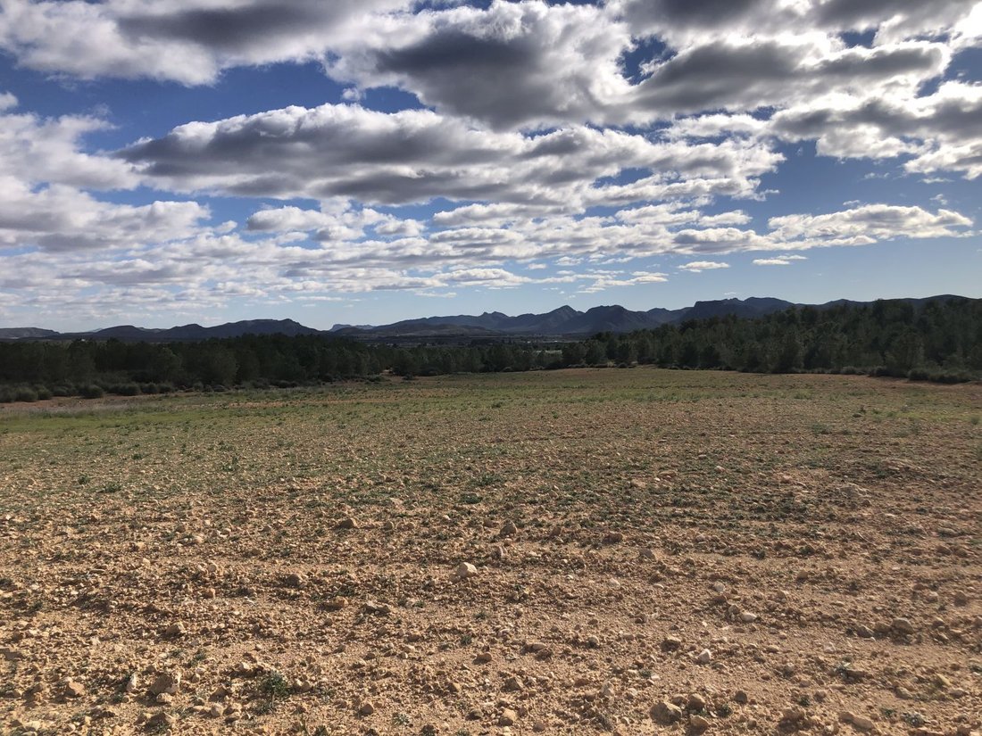 Land in Hellin, Castile-La Mancha, Spain 5 - 15593897