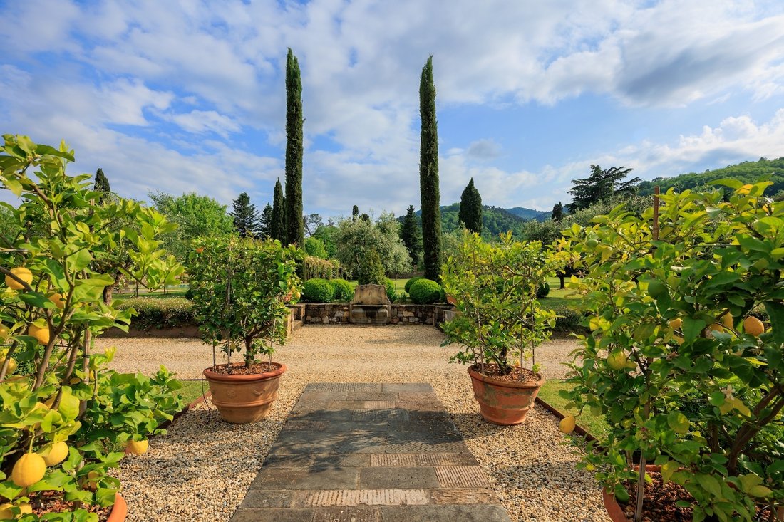Farm Ranch in Historic Center, Lucca, Tuscany 3 - 13137212