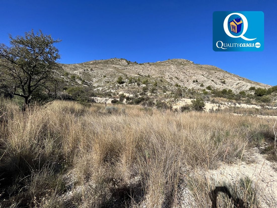 Land in Aigues, Valencian Community, Spain 2 - 15593911