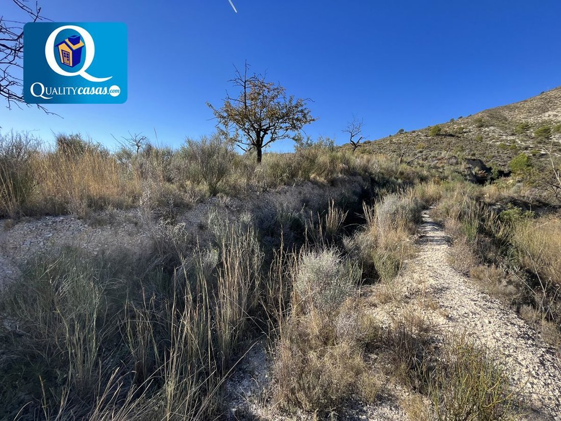 Land in Aigues, Valencian Community, Spain 3 - 15593911