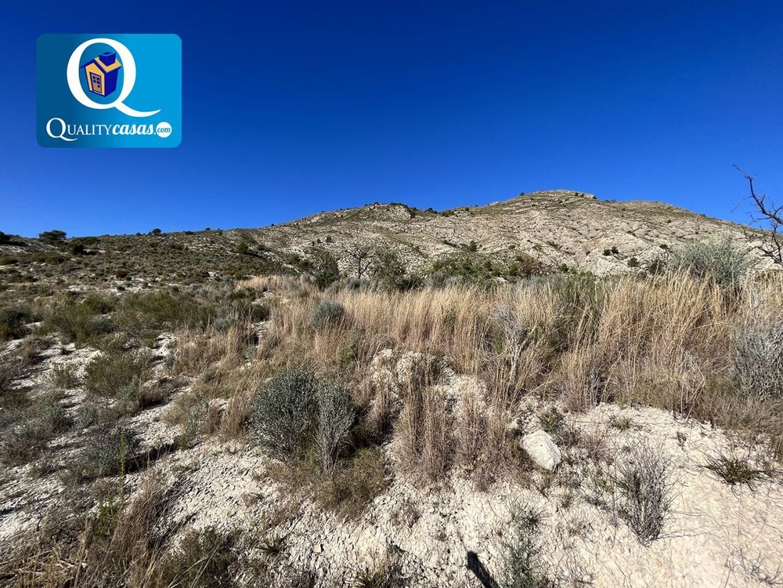 Land in Aigues, Valencian Community, Spain 5 - 15593911