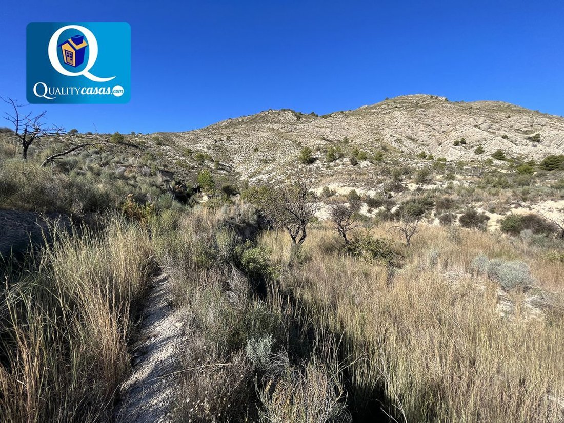 Land in Aigues, Valencian Community, Spain 1 - 15593911