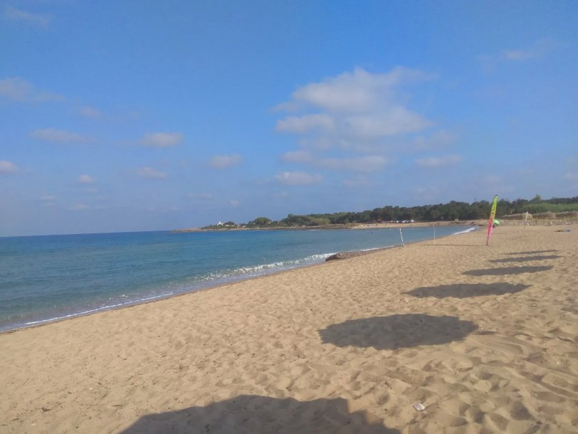Land in Filiatra, Peloponnese, Western Greece and the Ionian, Greece 4 - 15594009