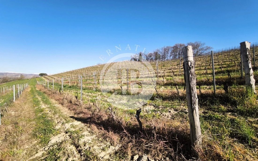 Land in Alba, Piedmont, Italy 2 - 15594144