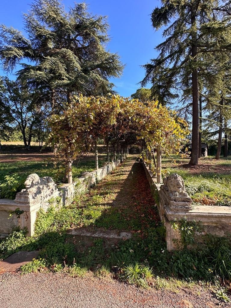 Villa in Cassano Spinola, Piedmont, Italy 5 - 15597643