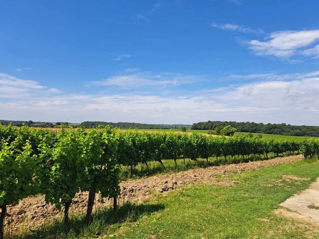 Estate in Sauveterre-de-Guyenne, Nouvelle-Aquitaine, France 4 - 14764308