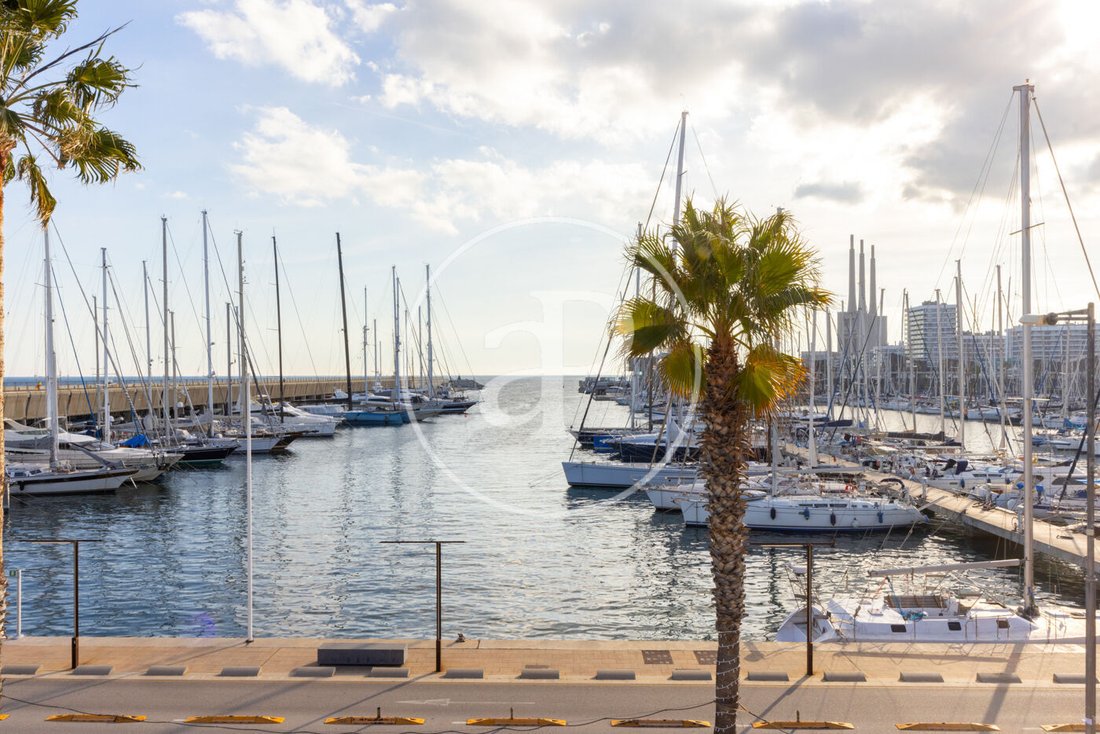Apartment in Districte 1, Badalona, Spain 3 - 15274796
