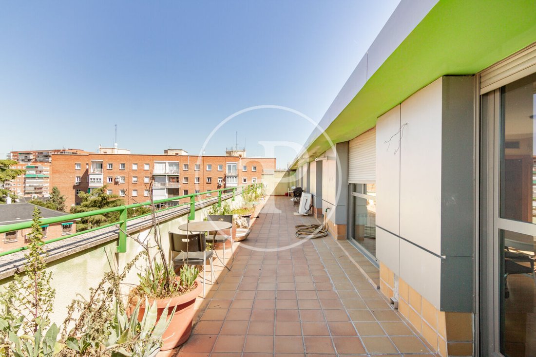 Penthouse in Barrio Salamanca, Madrid, Spain 2 - 15599004