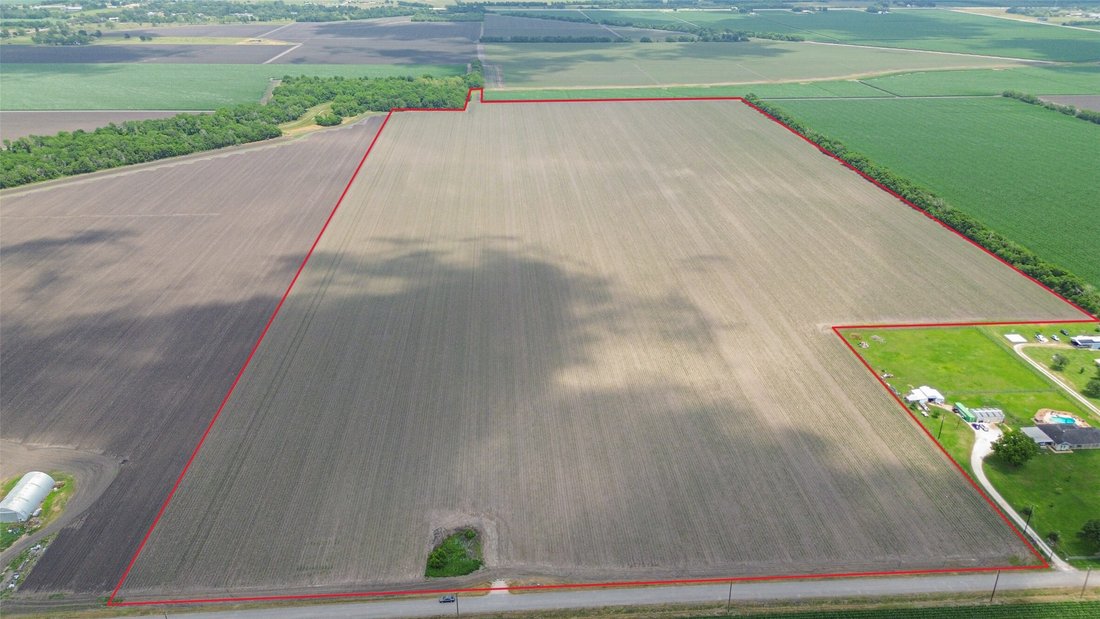 Land in Needville, Texas, United States 3 - 15599798