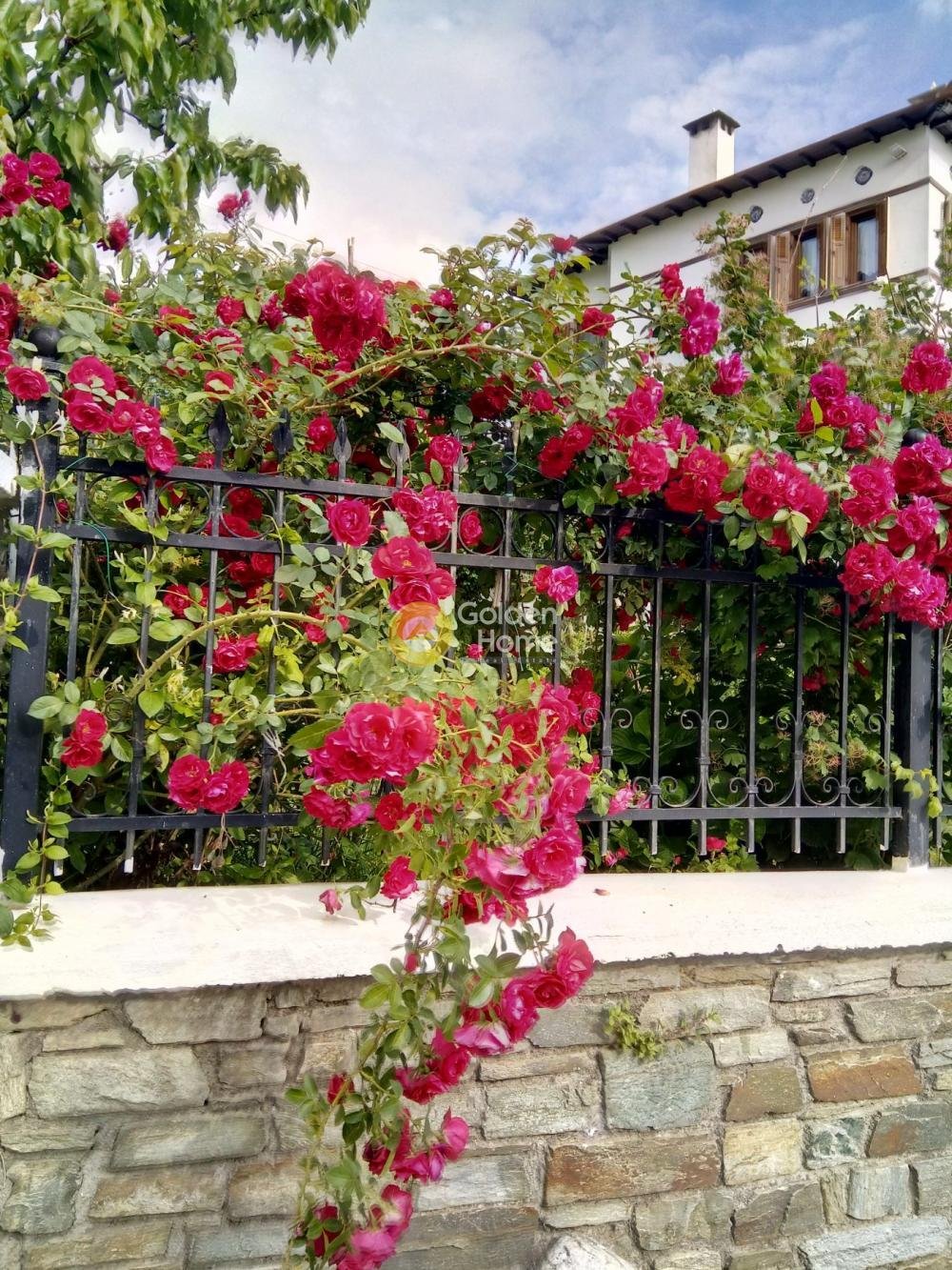 House in Mouresi, Thessaly and Central Greece, Greece 3 - 15600585